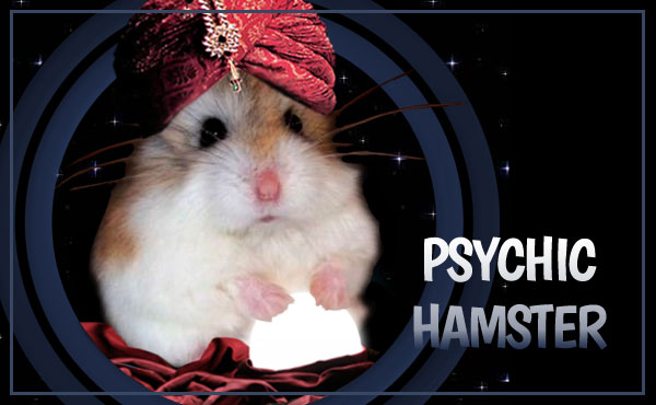 Psychic Hamster